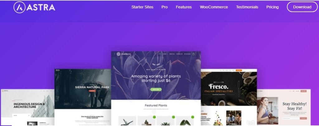 Astra WordPress Themes