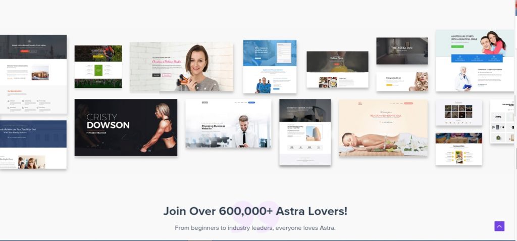 Amazing Astra WordPress Themes